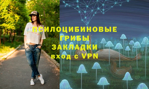 прущая мука Богородицк