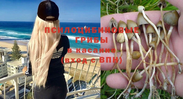гашишное масло Богданович