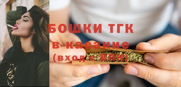 сатива Богородск
