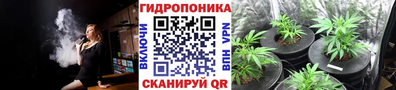 где продают наркотики  Болохово  Каннабис Amnesia 